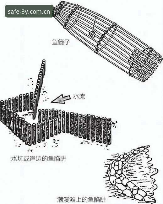 三亿体育官网真假辨别功能详解：实用技巧助你远离钓鱼陷阱